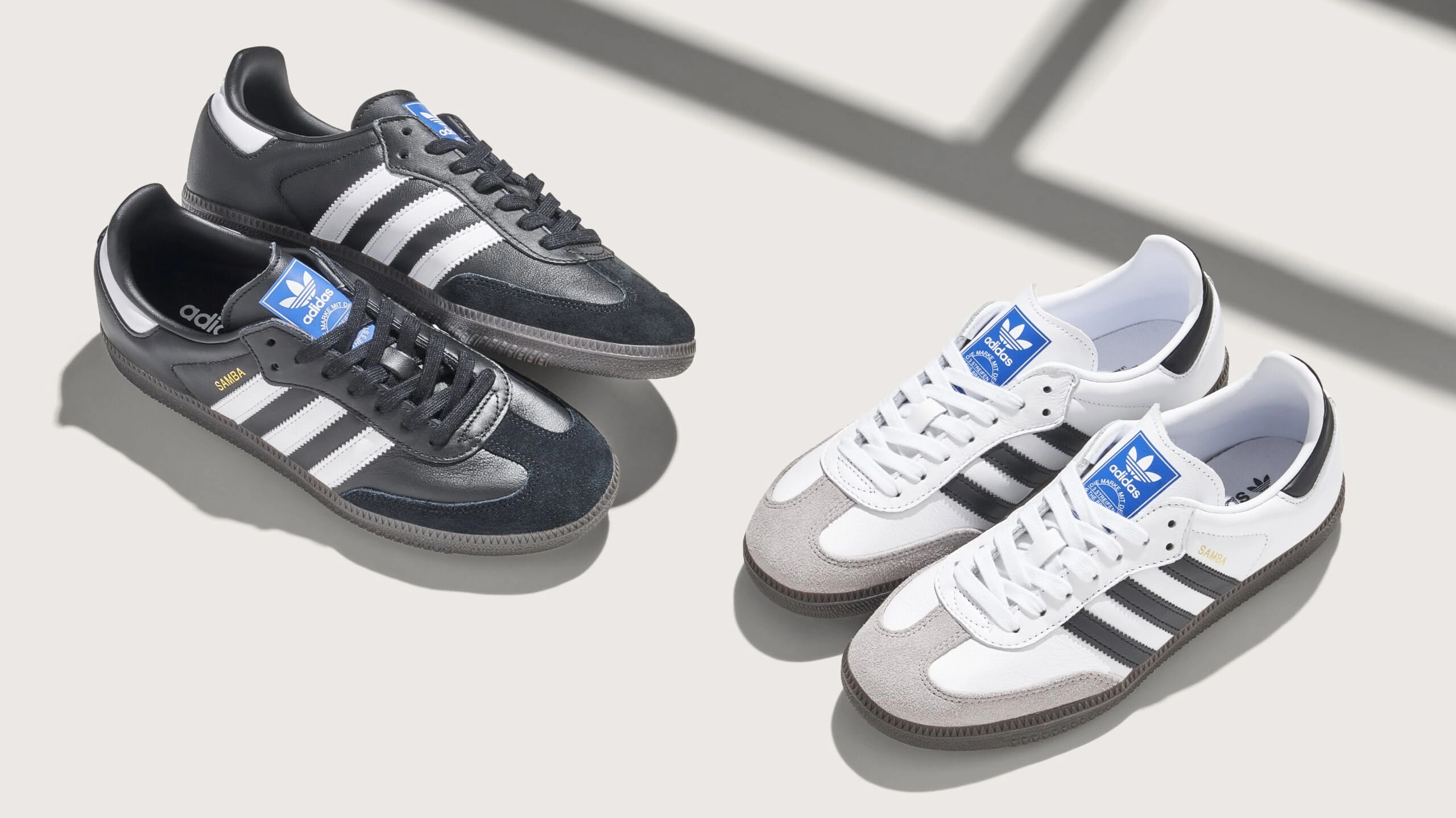 Sneakers Promo Showcase